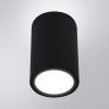 Уличный потолочный светильник Arte Lamp Torcular (Торцулар) A1807PF-1BK