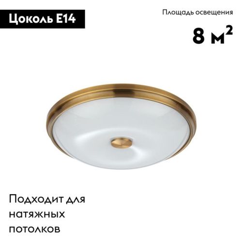 Настенно-потолочный светильник Odeon Light Pelow (Пелов) 4956/4 - фото 2