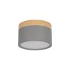 Светильник накладной Loft It Grape 10162 Grey