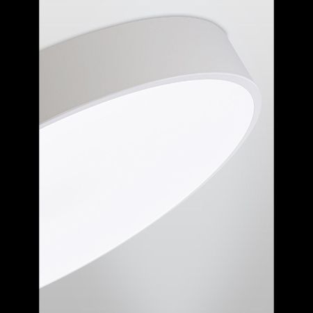 Светильник потолочный Natali Kovaltseva Modern (Модерн) LED LAMPS 81105/2C