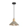 Светильник подвесной Lumion Eoliana (Еолиана) 8351/1A