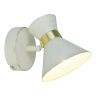 Спот Arte Lamp Baltimore (Балтиморе) A1406AP-1WG