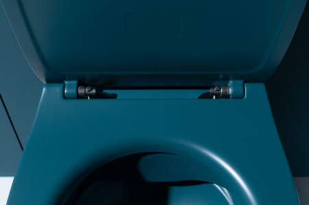 Чаша унитаза подвесная Allen Brau Fantasy 4.11004.PT цвет зеленый без сиденья безободковая каскадный смыв