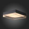 Люстра потолочная ST Luce CHODO (ЦХОДО) SL1127.422.05