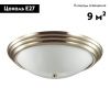Настенно-потолочный светильник Lumion Vintage (Винтаге) 5262/3C
