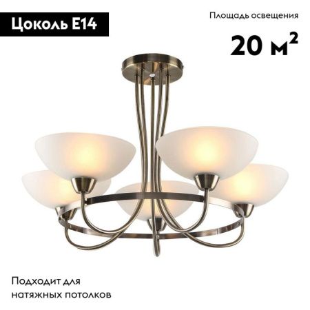 Люстра подвесная Moderli LIONE (ЛИОНЕ) V1204-5C