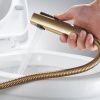 Гигиенический душ со смесителем Shevanik S99 S9905G-1 золото