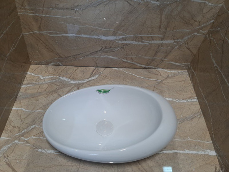 Раковина из санфаянса CeramaLux 78255-1 49х32 накладная цвет белый