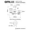 Люстра на штанге Citilux Alton (Алтон) CL421253
