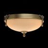 Светильник накладной MW-Light Афродита 317011202