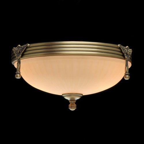 Светильник накладной MW-Light Афродита 317011202 - фото 2