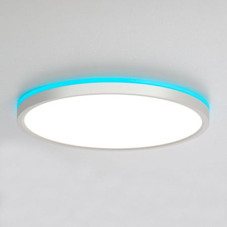 Светильник потолочный Citilux Norma (Норма) CL749320
