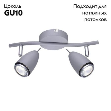Спот Arte Lamp Regista (Региста) A1966AP-2GY
