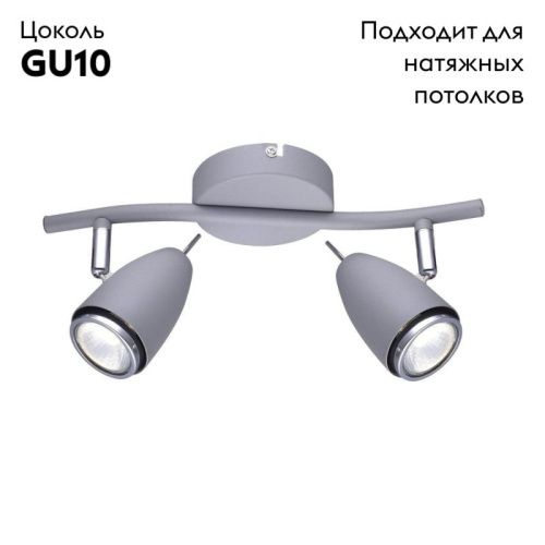 Спот Arte Lamp Regista (Региста) A1966AP-2GY - фото 2