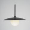 Светильник подвесной Zortes Lumi (Луми) ZRS.2436.40