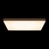 Светильник потолочный Loft It Flims 10228/E