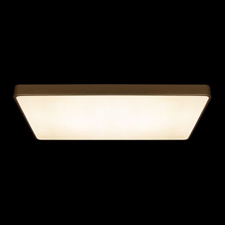 Светильник потолочный Loft It Flims 10228/E