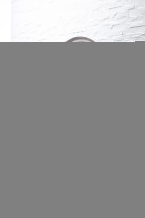 Смеситель для кухни Allen Brau 5.60002-SS на мойку нержавеющая сталь