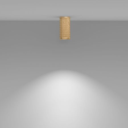 Светильник потолочный Maytoni Technical Focus Design (Фокус Дизайн) C036CL-01G