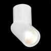 Спот светодиодный ST Luce ST650 ST650.542.10