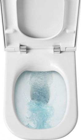 Чаша унитаза напольная Roca The gap 734273700H цвет белый без бачка без сиденья безободковая смыв торнадо