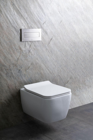 Чаша унитаза подвесная Allen Brau Liberty 4.33007.20 цвет белый без сиденья безободковая каскадный смыв