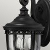 Уличный настенный светильник Feiss English bridle (Енглисх бридле) FE-EB2-M-BLK