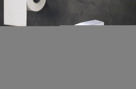 Смеситель Rose R1507F на биде белый/хром