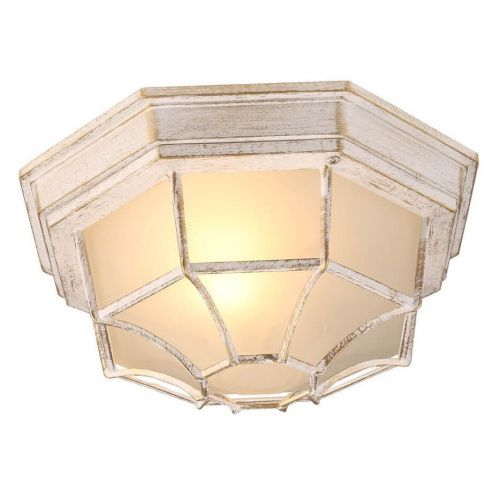 Уличный потолочный светильник Arte Lamp Pegasus (Пегасус) A3121PF-1WG - фото 3