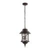 Уличный подвесной светильник Loft It Prato 100021P