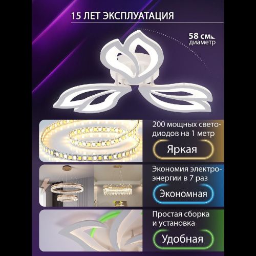 Люстра потолочная Natali Kovaltseva Fortuna (Фортуна) LED LAMPS 81107/2C - фото 2