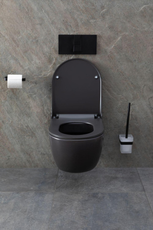 Чаша унитаза подвесная Allen Brau Priority 4.31001.AN цвет черный без сиденья безободковая каскадный смыв