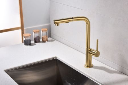 Смеситель для кухни Paulmark NEO Ne214419-LG на мойку золото