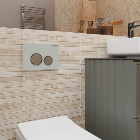 Клавиша смыва механическая CHARUS Bagliore FP.330.WHITE.10 цвет белый