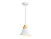 Светильник подвесной Ambrella Light Traditional (Традитионал) TR8195