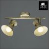 Спот Arte Lamp Baltimore (Балтиморе) A1406AP-2WG
