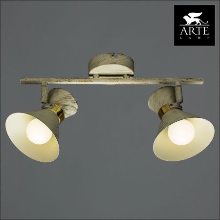 Спот Arte Lamp Baltimore (Балтиморе) A1406AP-2WG