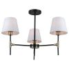 Люстра на штанге Illumico IL0185-3CSQ-24 BK AB CASTOR
