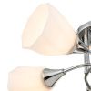 Люстра потолочная Escada Camellia (Цамеллиа) 664/5P