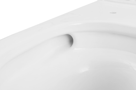 Чаша унитаза подвесная Allen Brau Priority Tornado 4.31006.20 цвет белый без сиденья безободковая душевой смыв