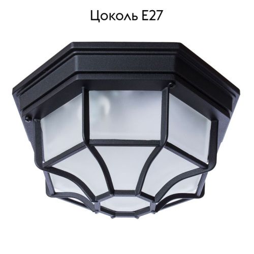 Уличный потолочный светильник Arte Lamp Pegasus (Пегасус) A3100PL-1BK - фото 2