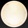 Светильник накладной Toplight Jane (Джане) TL9640Y-00PN