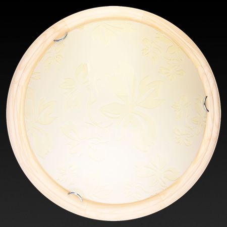 Светильник накладной Toplight Jane (Джане) TL9640Y-00PN