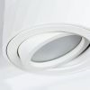Светильник накладной Arte Lamp Fang (Фанг) A5559PL-1WH