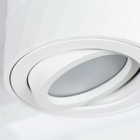 Светильник накладной Arte Lamp Fang (Фанг) A5559PL-1WH