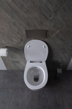 Чаша унитаза подвесная Allen Brau Fantasy 4.11HC1.20 цвет белый без сиденья безободковая каскадный смыв