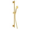 Душевой гарнитур Cezares ECO ECO-SD-BORO настенный золото