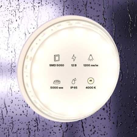 Светодиодная лента Maytoni Led Strip 10132