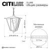 Уличный подвесной светильник Citilux Forts (Фортс) CLU09S