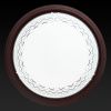 Светильник настенный Toplight Citte (Цитте) TL9134Y-02OA